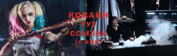 прущие грибы Абаза