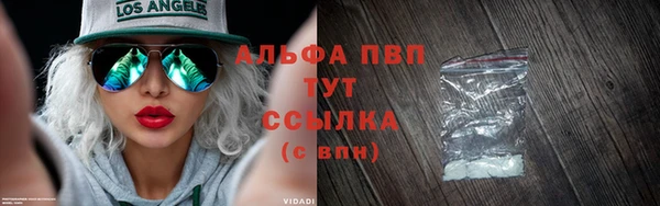 прущие грибы Абаза