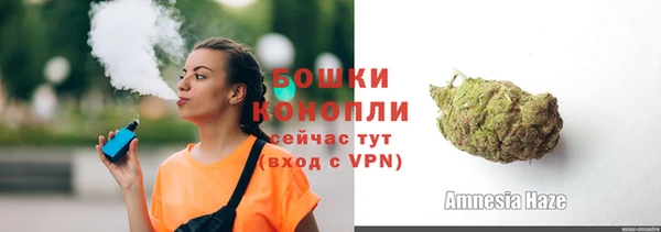 прущие грибы Переславль-Залесский