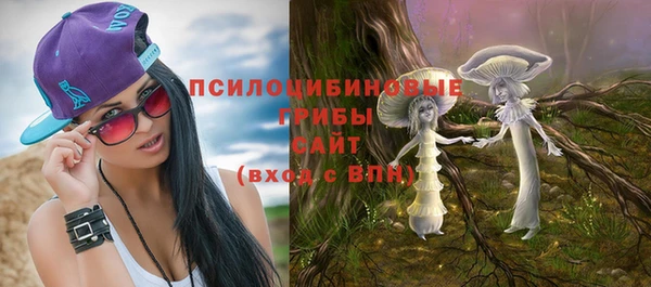 ПСИЛОЦИБИНОВЫЕ ГРИБЫ Абдулино