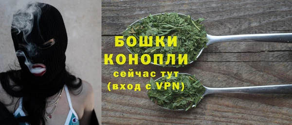 прущие грибы Абаза