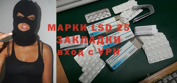 прущие грибы Абаза